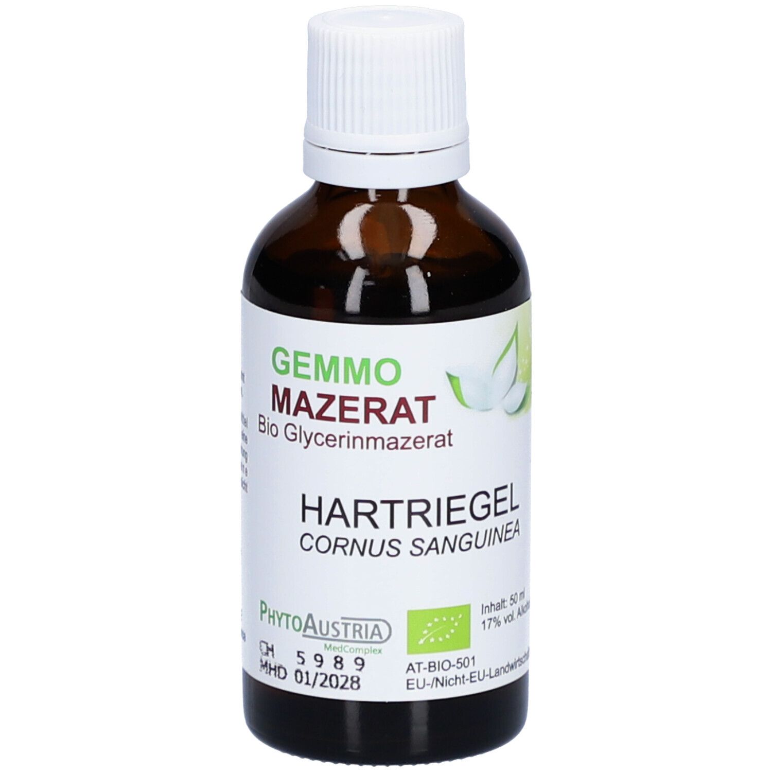 Gemmo Mazerat Hartriegel