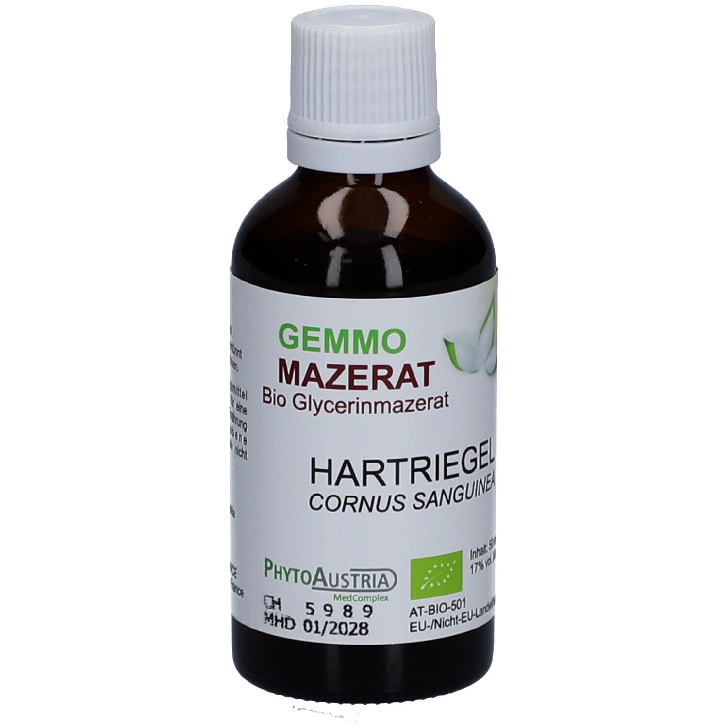 Gemmo Mazerat Hartriegel