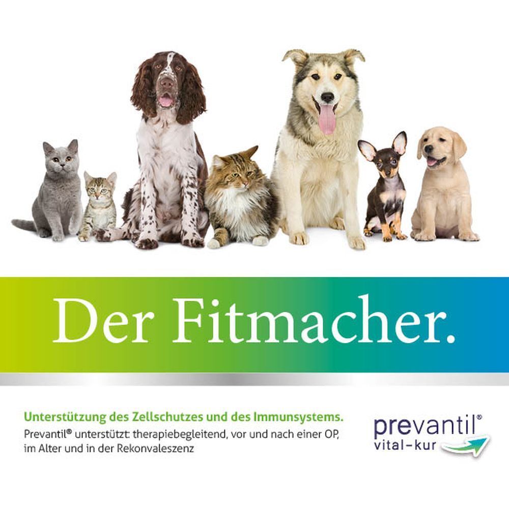 Verschiedene Hunde und Katzen sitzen nebeneinander. Text: Der Fitmacher. Prevantil Vital-Kur unterstützt Zellschutz und Immunsystem.