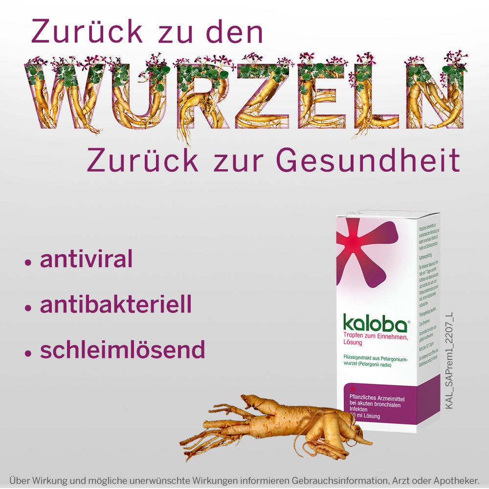Werbebild mit Text: Zurück zu den Wurzeln, Zurück zur Gesundheit. Kaloba-Packung und Wurzeln. Text: antiviral, antibakteriell, schleimlösend.