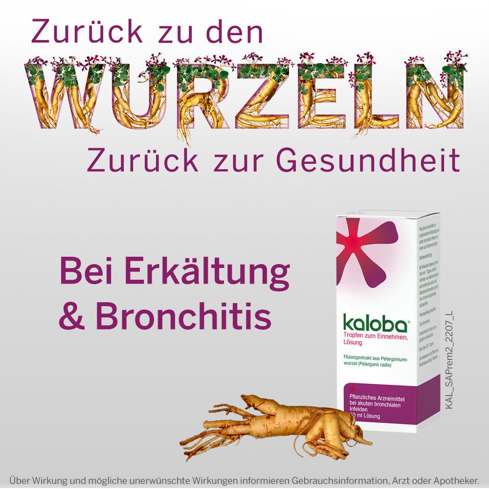 Werbebild mit Text: Zurück zu den Wurzeln, Zurück zur Gesundheit. Kaloba-Packung und Wurzeln. Text: Bei Erkältung & Bronchitis.