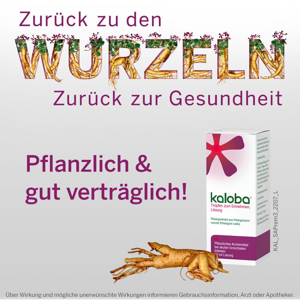 Werbebild mit Text: Zurück zu den Wurzeln, Zurück zur Gesundheit. Kaloba-Packung und Wurzeln. Text: Pflanzlich & gut verträglich!