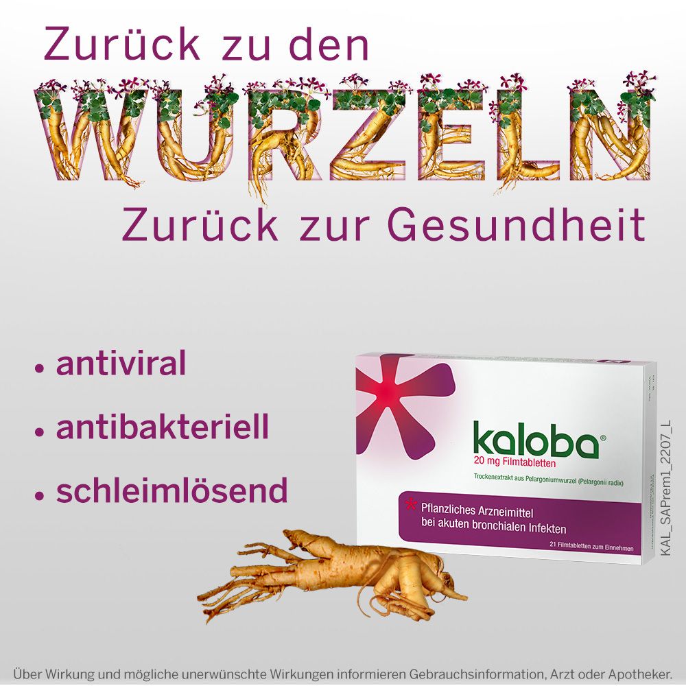 Werbebild mit Text und Kaloba-Packung. Text: Zurück zur Gesundheit. Pflanzlich & gut verträglich. Kaloba 20 mg Filmtabletten.