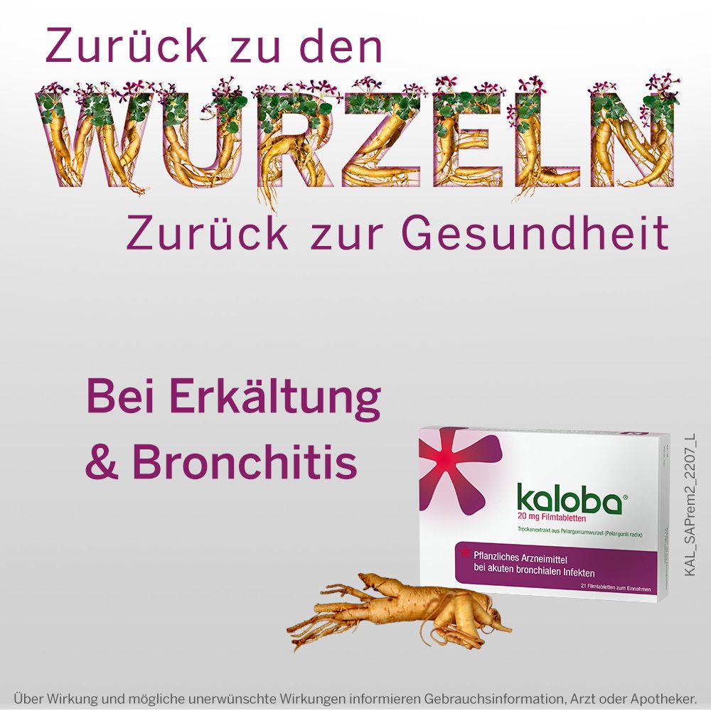 Werbebild mit Kaloba-Packung. Text: Bei Erkältung & Bronchitis. Pflanzliches Arzneimittel bei akuten bronchialen Infekten. Wurzel.