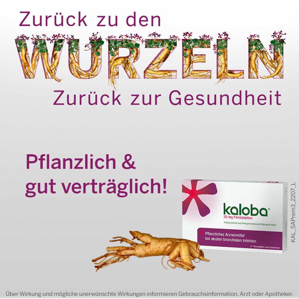Werbebild mit Kaloba-Packung. Text: Pflanzlich & gut verträglich! Pflanzliches Arzneimittel bei akuten bronchialen Infekten. Wurzel.