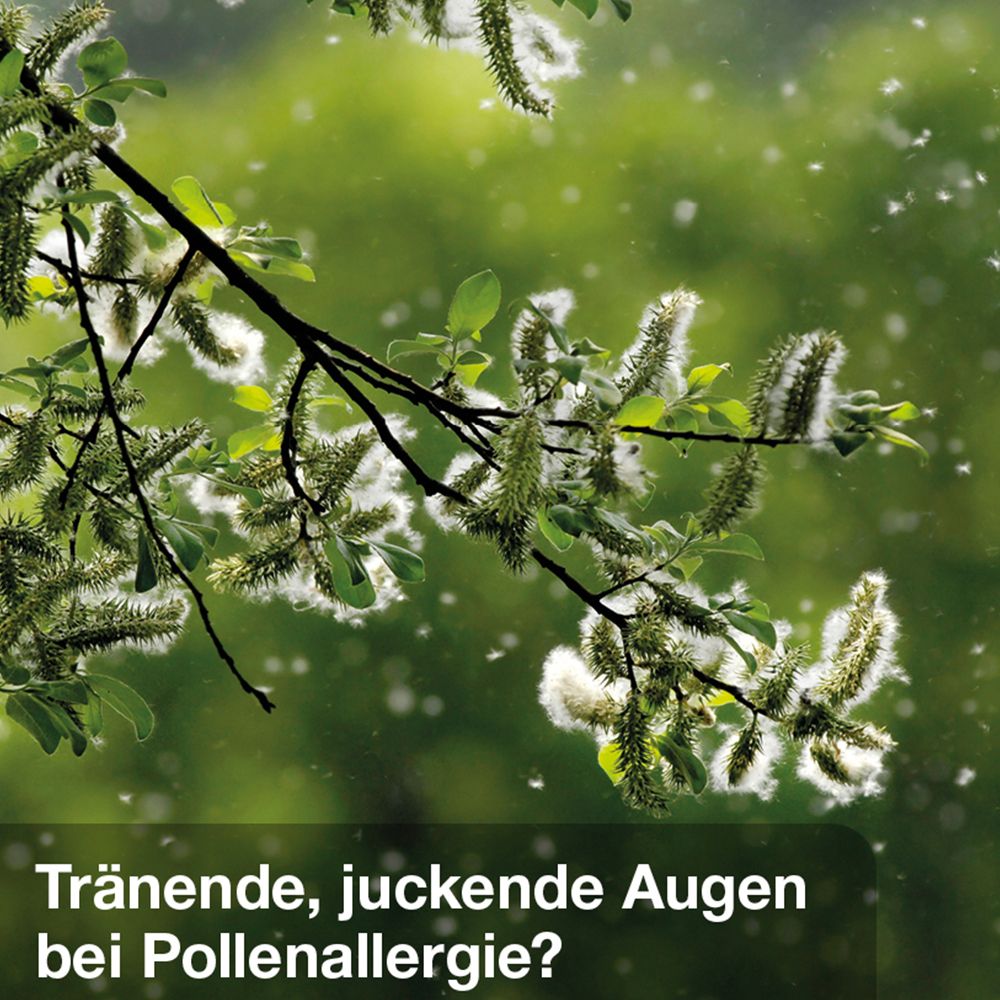Zweig mit Blüten und Pollen. Text: Tränende, juckende Augen bei Pollenallergie?