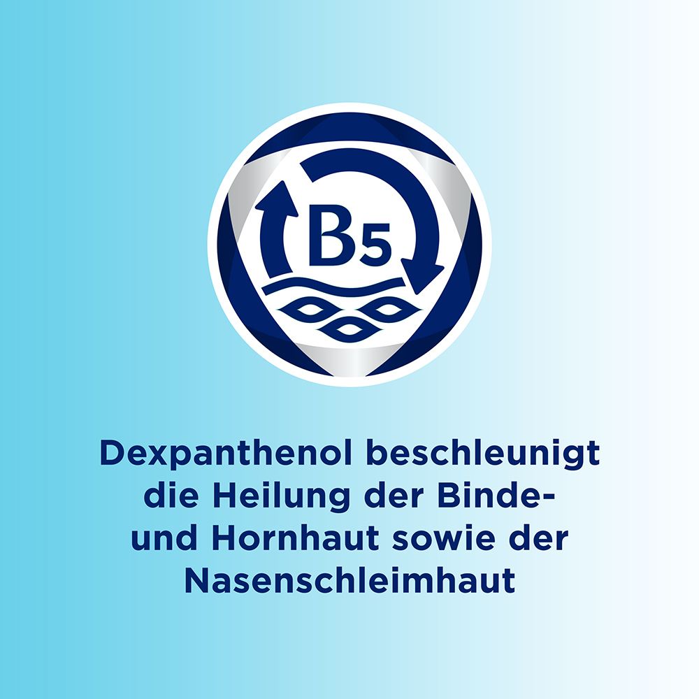 Kreisförmiges Symbol mit Pfeilen und B5. Text: Dexpanthenol beschleunigt die Heilung der Binde- und Hornhaut sowie der Nasenschleimhaut.