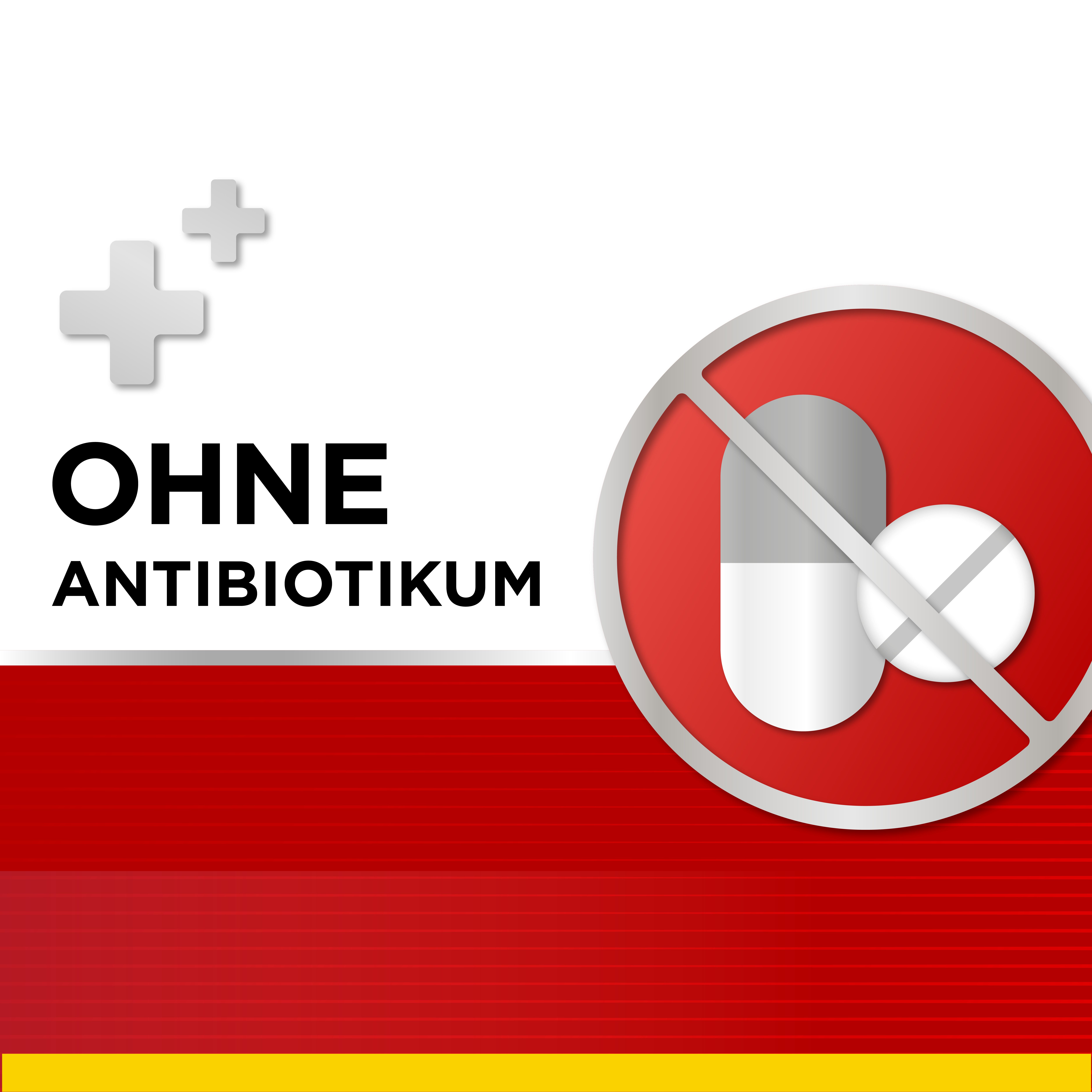 Symbol: Ohne Antibiotikum. Abgebildet: Tablette mit rotem Kreis und durchgestrichen.