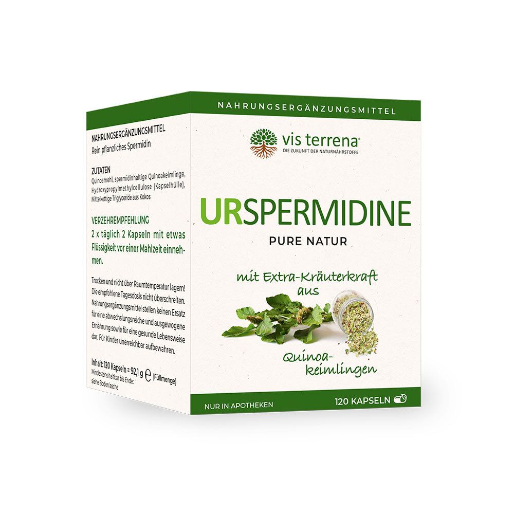 Karton mit vis terrena® URSPERMIDINE. Grün-weiße Verpackung, Schriftzug URSPERMIDINE, 120 Kapseln. Kräuter- und Quinoa-Abbildung.