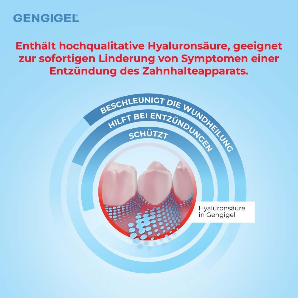 Illustration von Zähnen. Text über Inhaltsstoffe und Wirkung. Gengigel® Gel forte-Logo und Hyaluronsäure-Hinweis.