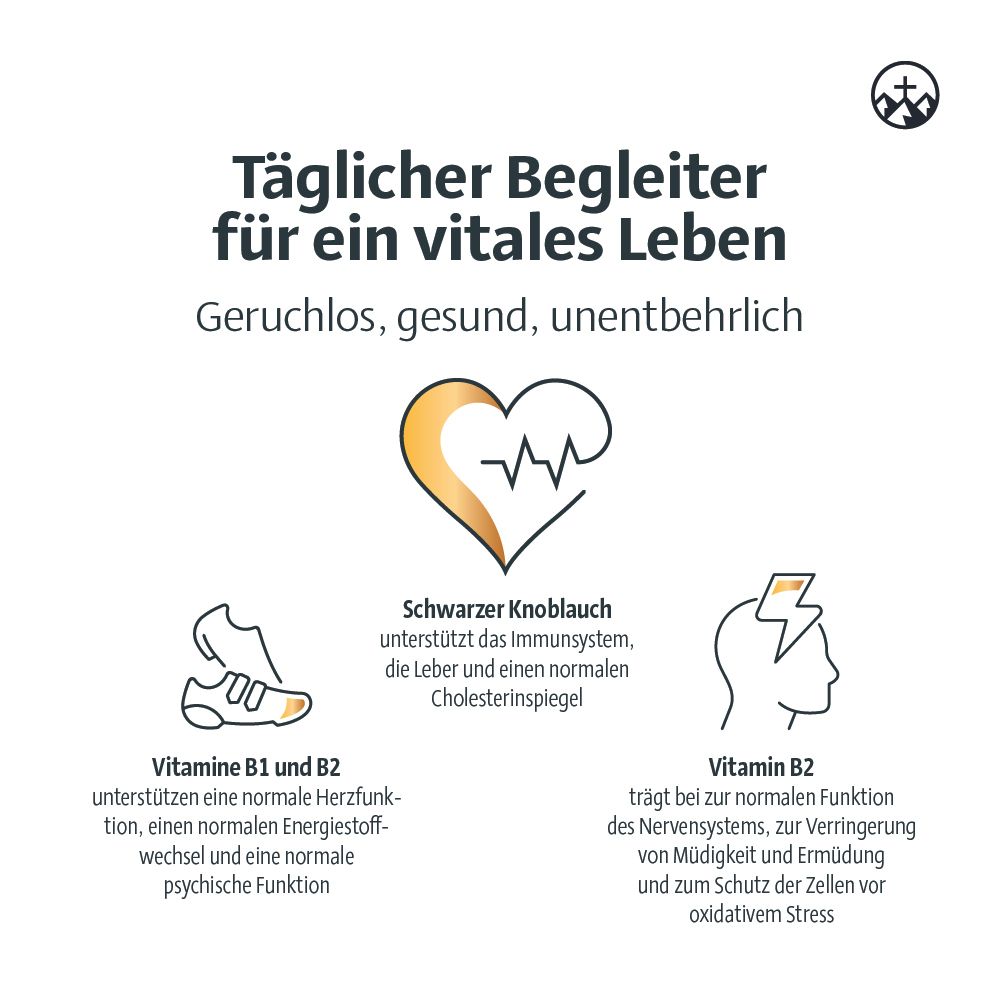 Grafik mit Symbolen: Herz, Schuh, Gehirn. Text: Tägliche Begleiter für ein vitales Leben. Geruchlos, gesund, unentbehrlich.