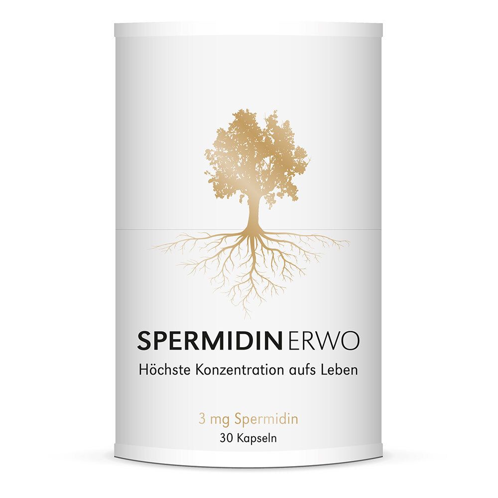 Zylindrische Dose mit Spermidin ERWO-Logo, Baum-Illustration und Produktinformationen. 3 mg Spermidin, 30 Kapseln.
