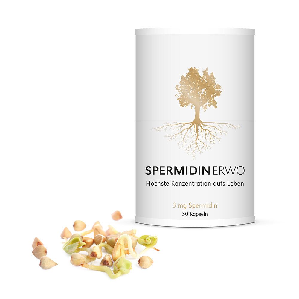 Zylindrische Dose mit Spermidin ERWO, Baum-Illustration und Produktinformationen. Daneben Keimlinge verstreut.