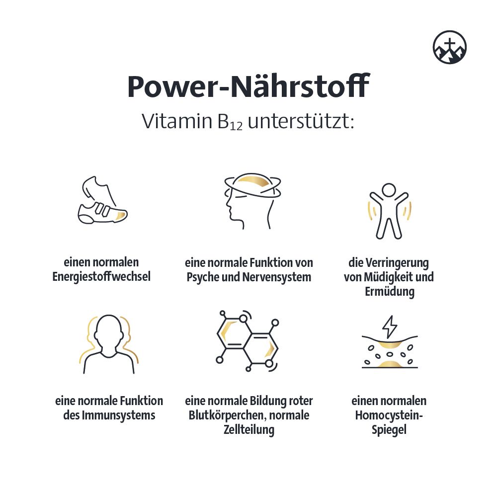 Grafik mit Icons. Themen: Energiestoffwechsel, Psyche, Müdigkeit, Immunsystem, rote Blutkörperchen, Homocystein.