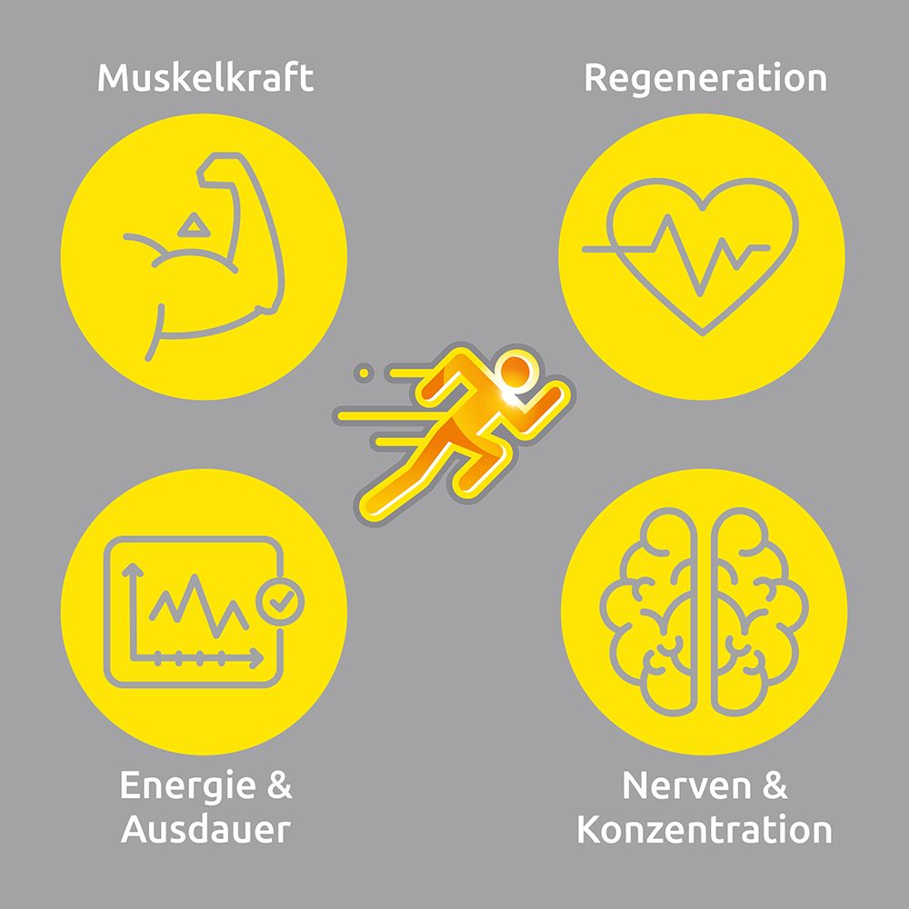 Grafik mit Symbolen: Muskelkraft, Regeneration, Energie & Ausdauer, Nerven & Konzentration. Läufer-Symbol.