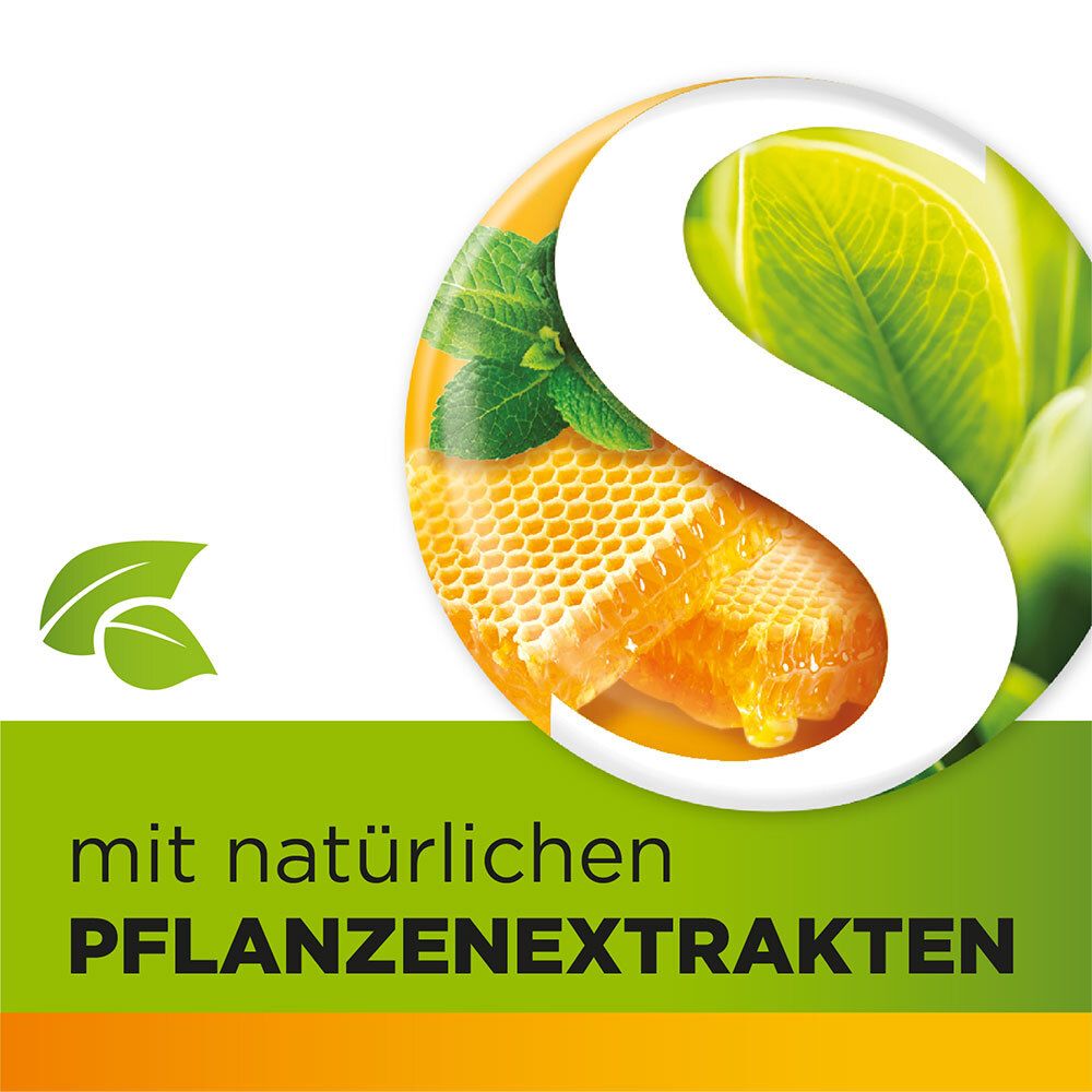 Honigwabe und Blätter in einem Symbol. Text: Mit natürlichen Pflanzenextrakten.