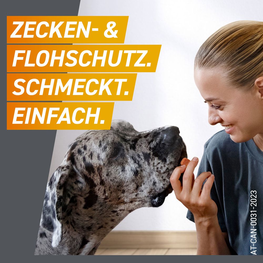 Textanzeige: Zecken- & Flohschutz. Schmeckt. Einfach. Eine Frau gibt einem Hund eine Tablette.