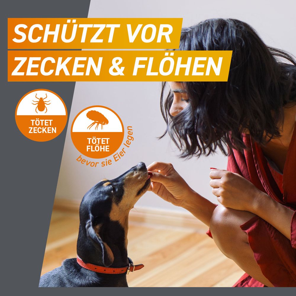 Textanzeige: Schützt vor Zecken & Flöhen. Eine Frau gibt einem Hund eine Tablette.