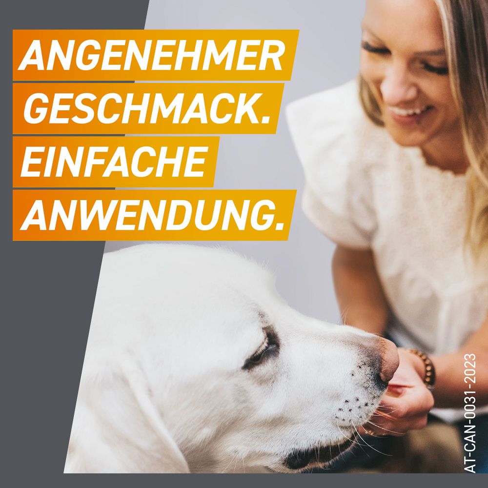 Textanzeige: Angenehmer Geschmack. Einfache Anwendung. Eine Frau gibt einem Hund eine Tablette.