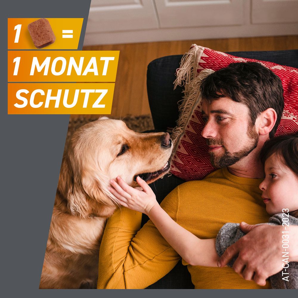Textanzeige: 1 Tablette = 1 Monat Schutz. Ein Mann und ein Kind kuscheln mit einem Hund.