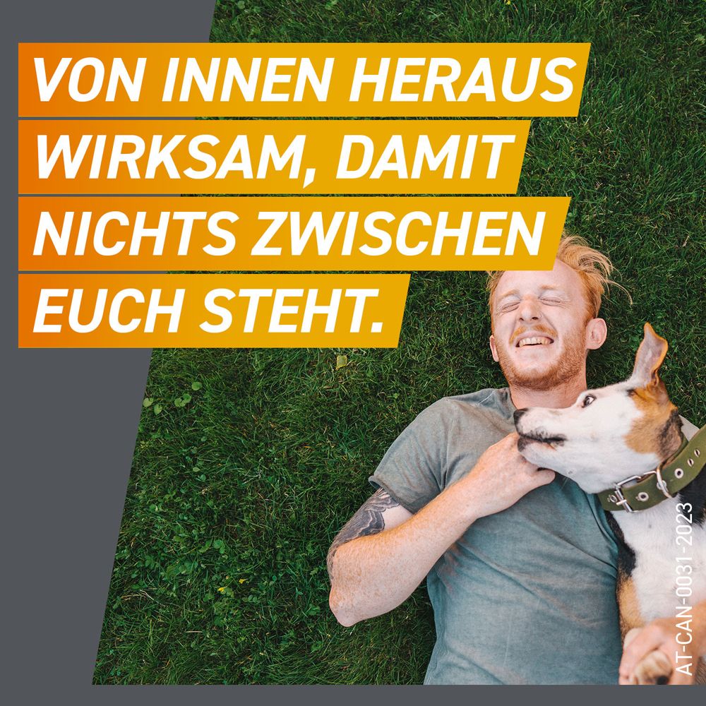 Textanzeige: Von innen heraus wirksam, damit nichts zwischen euch steht. Ein Mann kuschelt mit einem Hund.