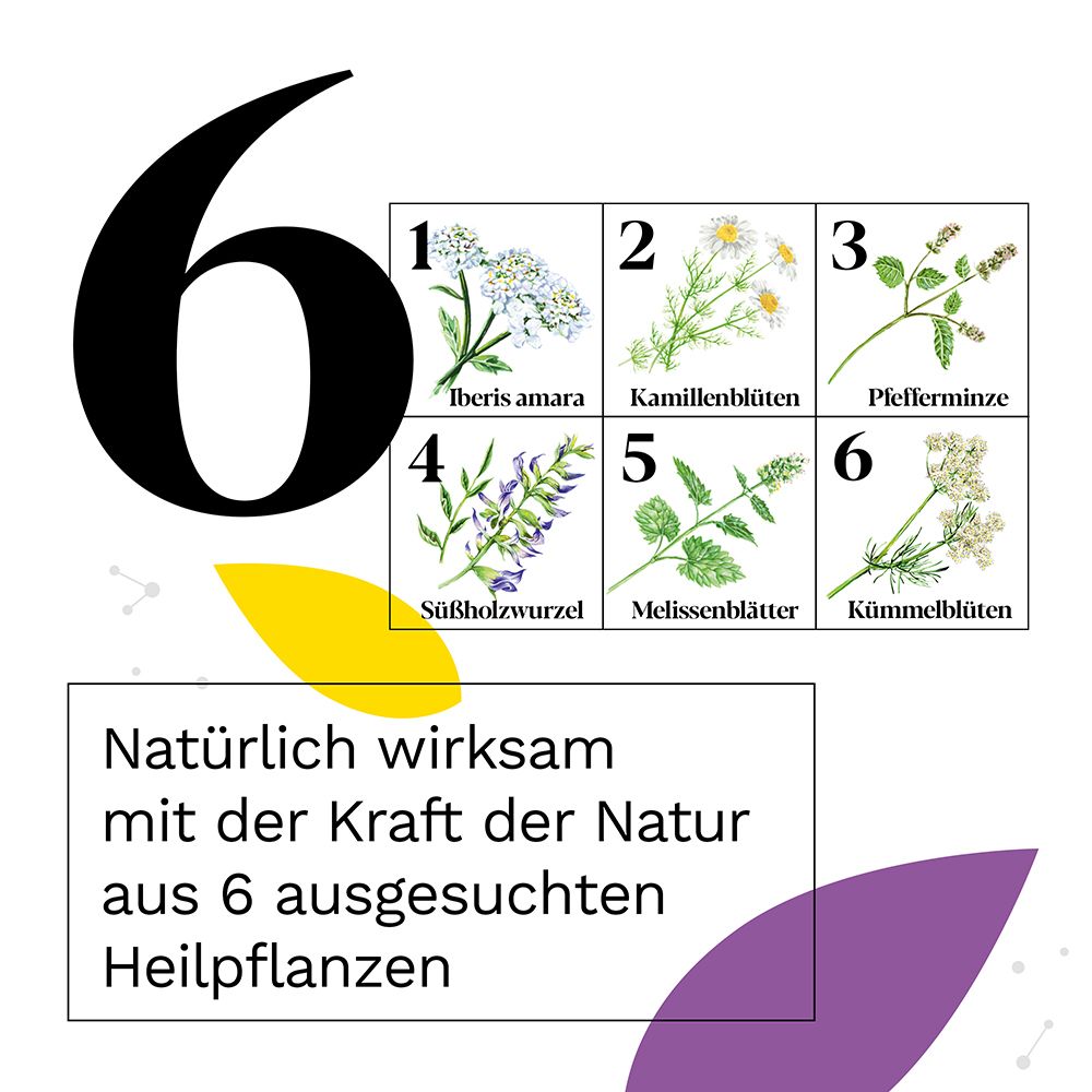 Grafik mit 6 Heilpflanzen. Text: Natürlich wirksam mit der Kraft der Natur aus 6 Heilpflanzen.