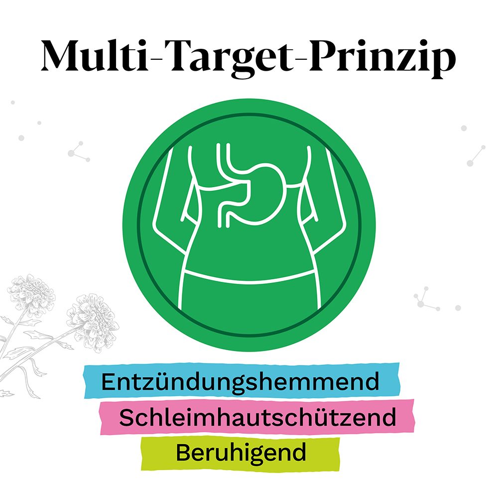 Grafik mit einem Magen-Icon. Text: Entzündungshemmend, Schleimhautschützend, Beruhigend.
