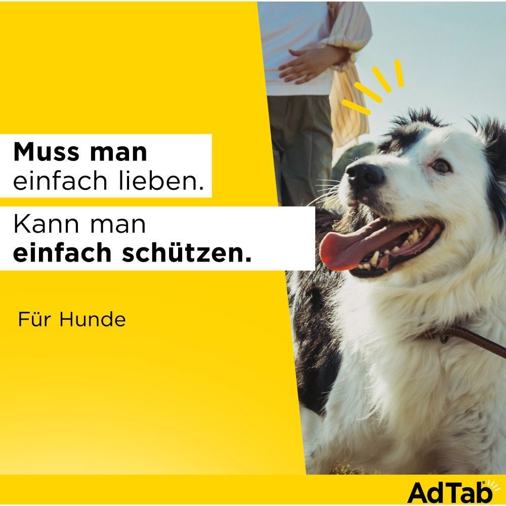Werbebild mit Hund. Text: Muss man einfach lieben. Kann man einfach schützen. Für Hunde. AdTab Logo.