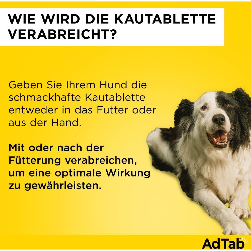 Elanco AdTab Kautablette. Text: Verabreichung im Futter oder aus der Hand. Mit oder nach der Fütterung für optimale Wirkung.