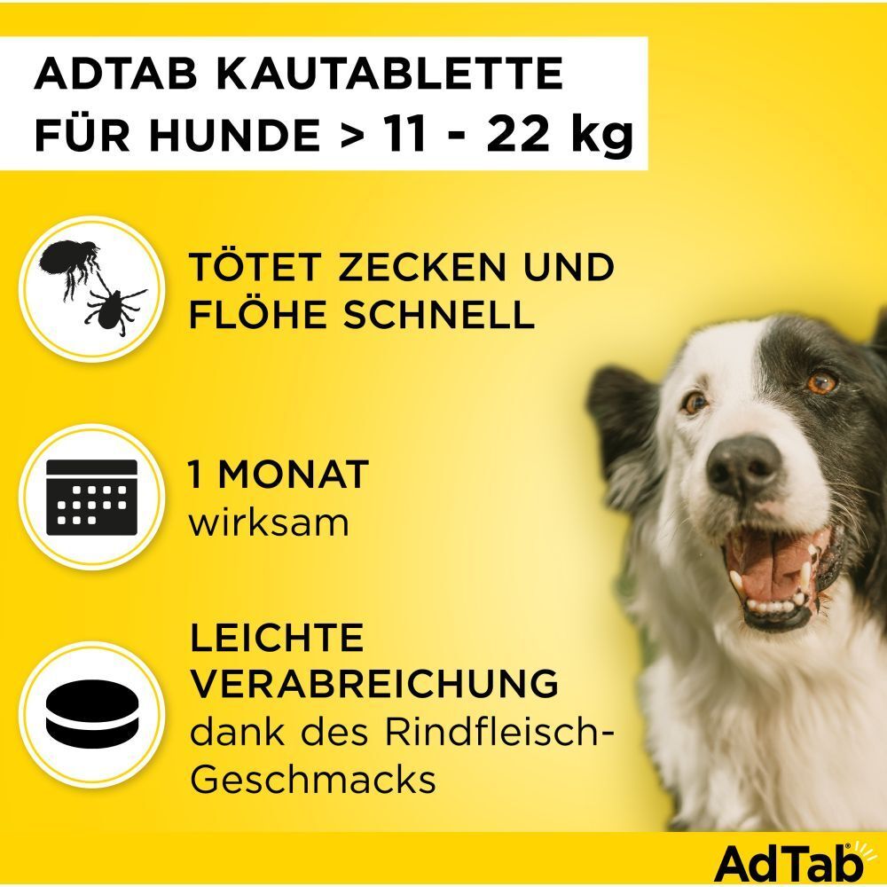 Elanco AdTab™ Kautablette für Hunde. Tötet Zecken und Flöhe schnell. Wirksamkeit 1 Monat. Leichte Verabreichung dank Rindfleisch-Geschmack.