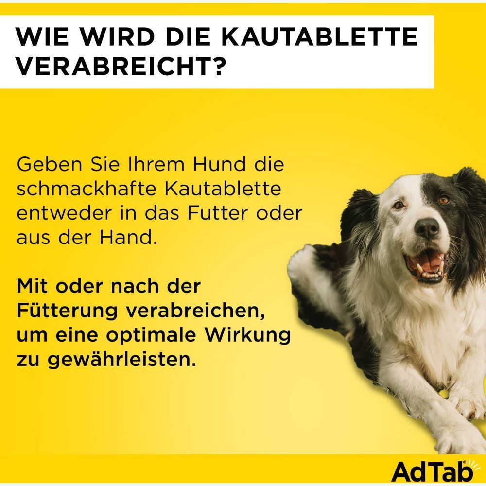 Elanco AdTab™ Kautablette. Verabreichung: im Futter oder aus der Hand. Mit oder nach der Fütterung für optimale Wirkung.