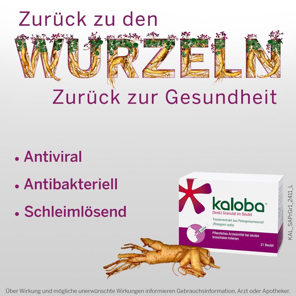Werbebild mit Text und Produktverpackung. Text: Zurück zu den Wurzeln, Zurück zur Gesundheit. Kaloba-Packung und Wurzel.