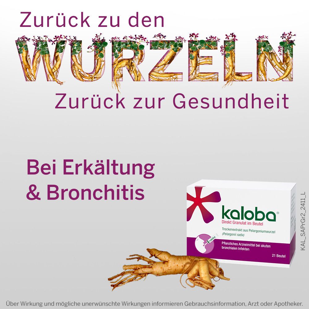 Werbebild mit Text und Produktverpackung. Text: Bei Erkältung & Bronchitis. Kaloba-Packung und Wurzel.