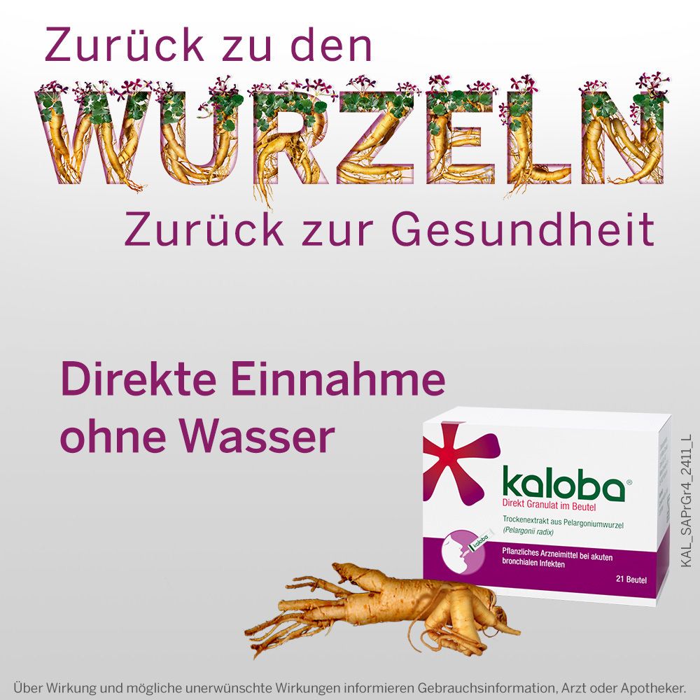 Werbebild mit Text und Produktverpackung. Text: Direkte Einnahme ohne Wasser. Kaloba-Packung und Wurzel.