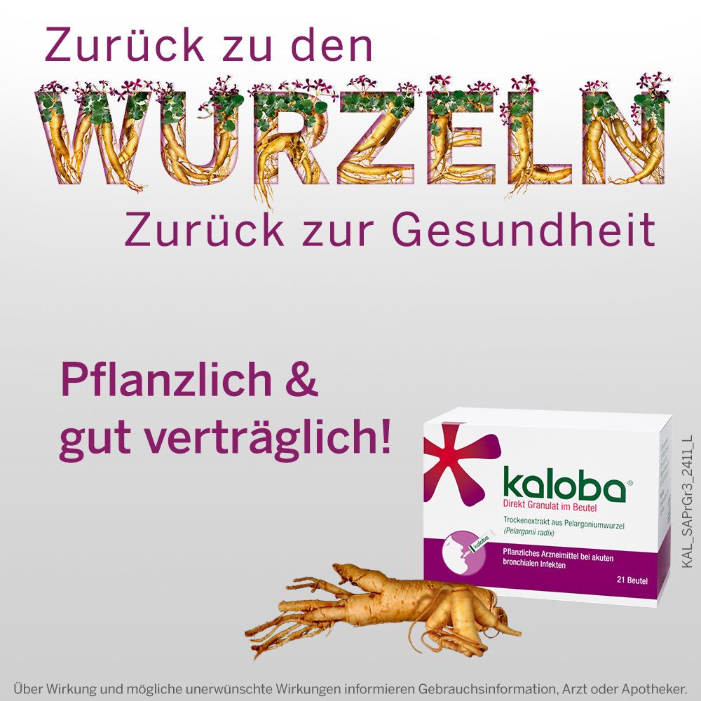 Werbebild mit Text und Produktverpackung. Text: Pflanzlich & gut verträglich! Kaloba-Packung und Wurzel.