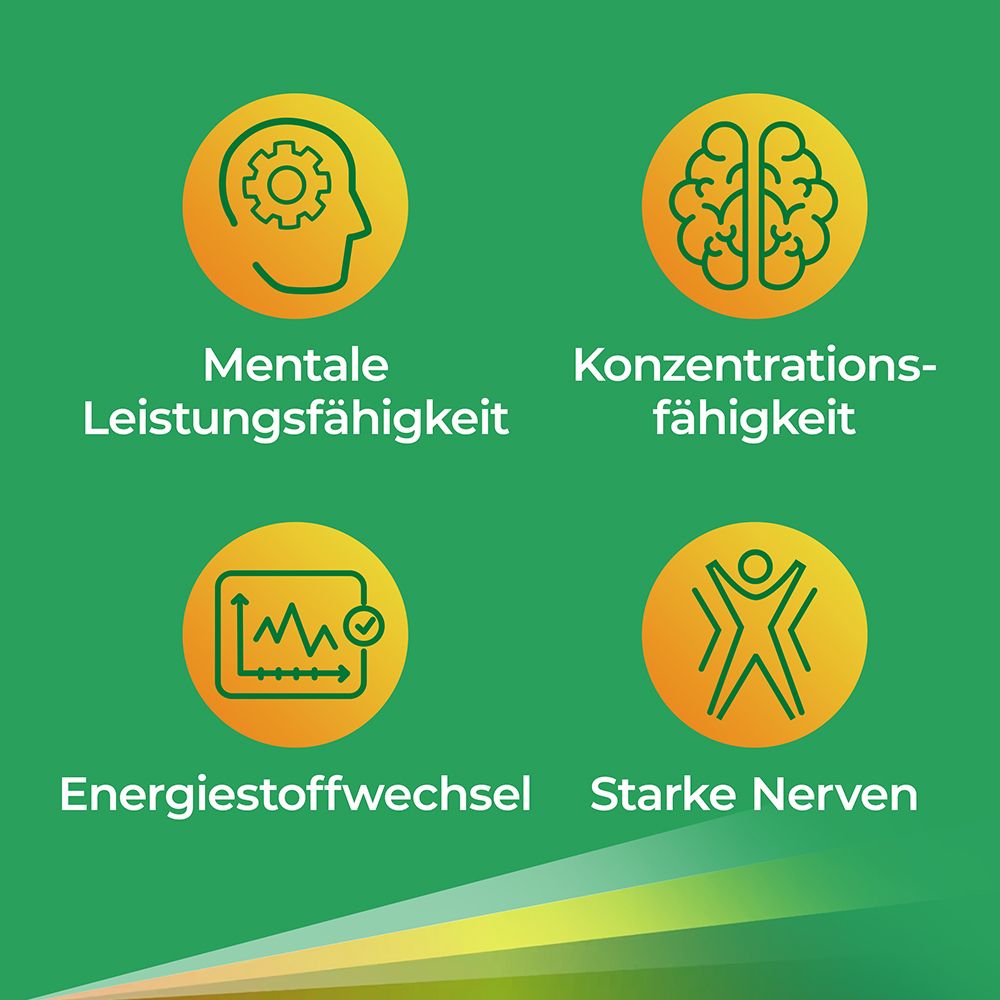 Gelbe Kreise mit Symbolen: Mentale Leistungsfähigkeit, Konzentrationsfähigkeit, Energiestoffwechsel, Starke Nerven.