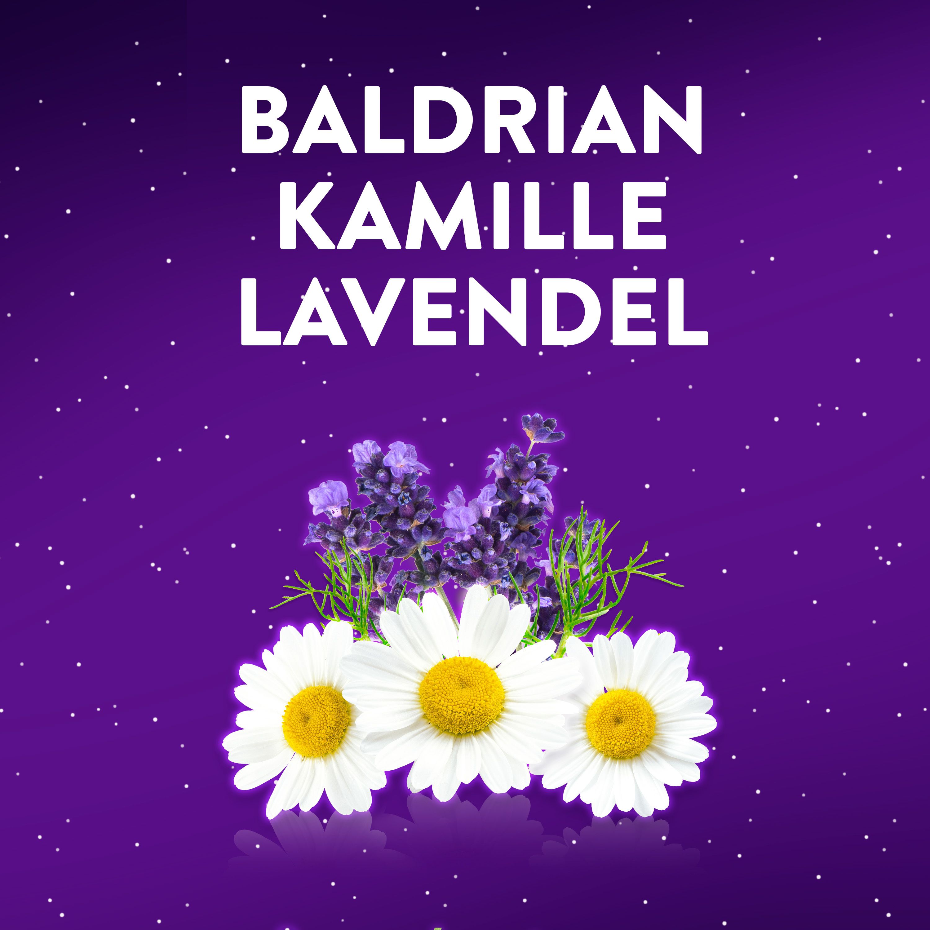 Blüten von Kamille, Baldrian und Lavendel auf violettem Hintergrund.