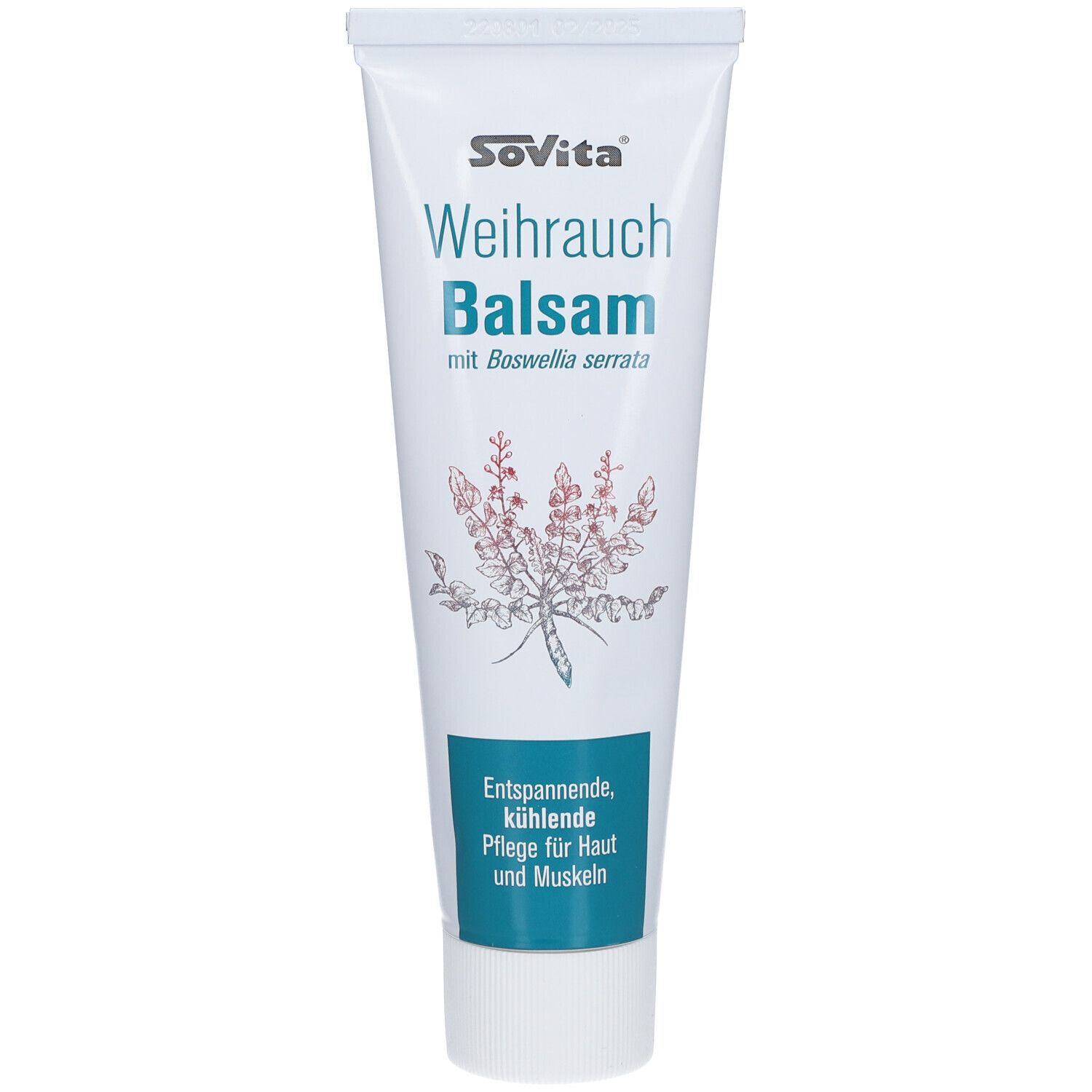 SoVita® WeihrauchBalsam 100 ml