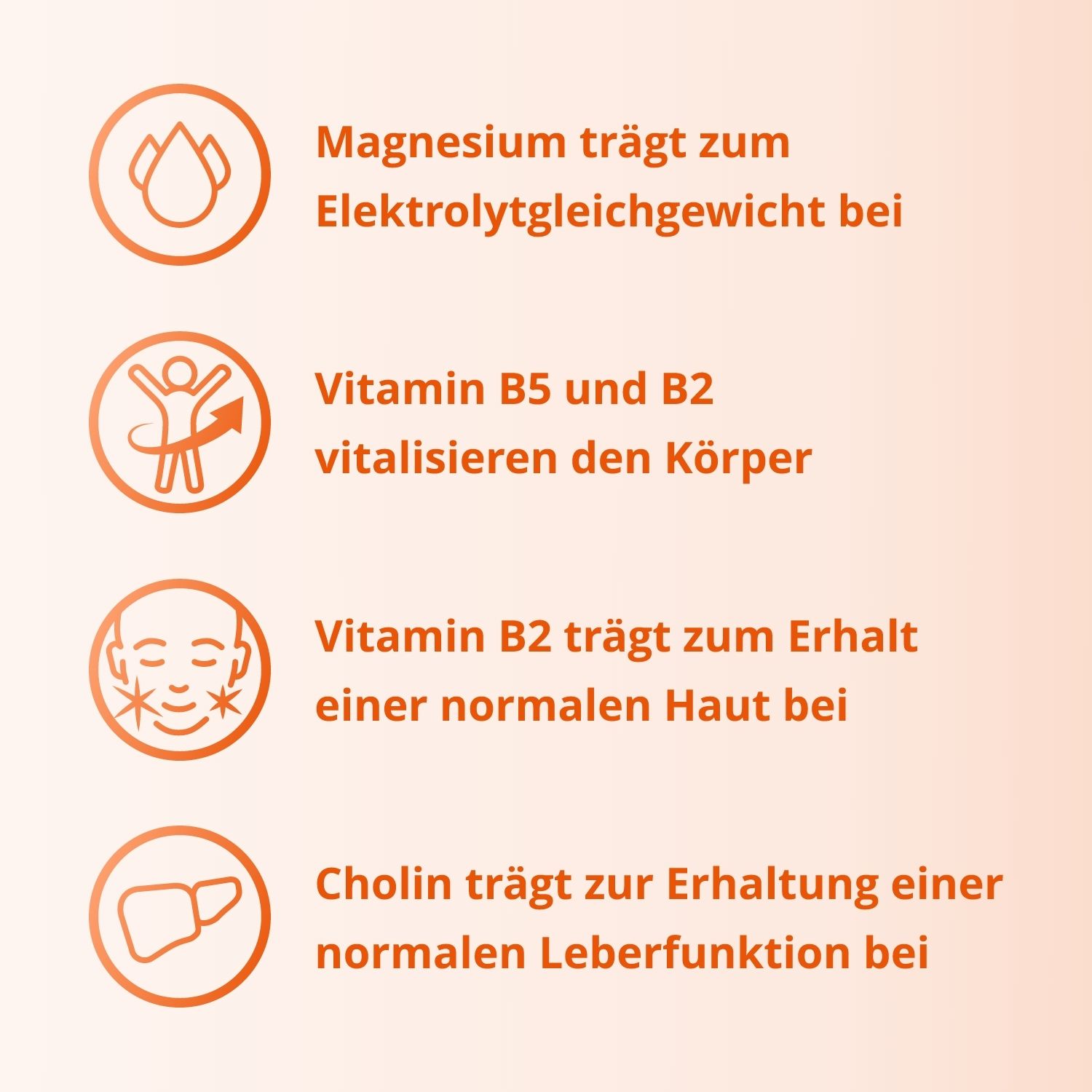 Grafiken mit Text: Magnesium für Elektrolytgleichgewicht, Vitamin B5/B2 vitalisieren, Vitamin B2 für Haut, Cholin für Leberfunktion.