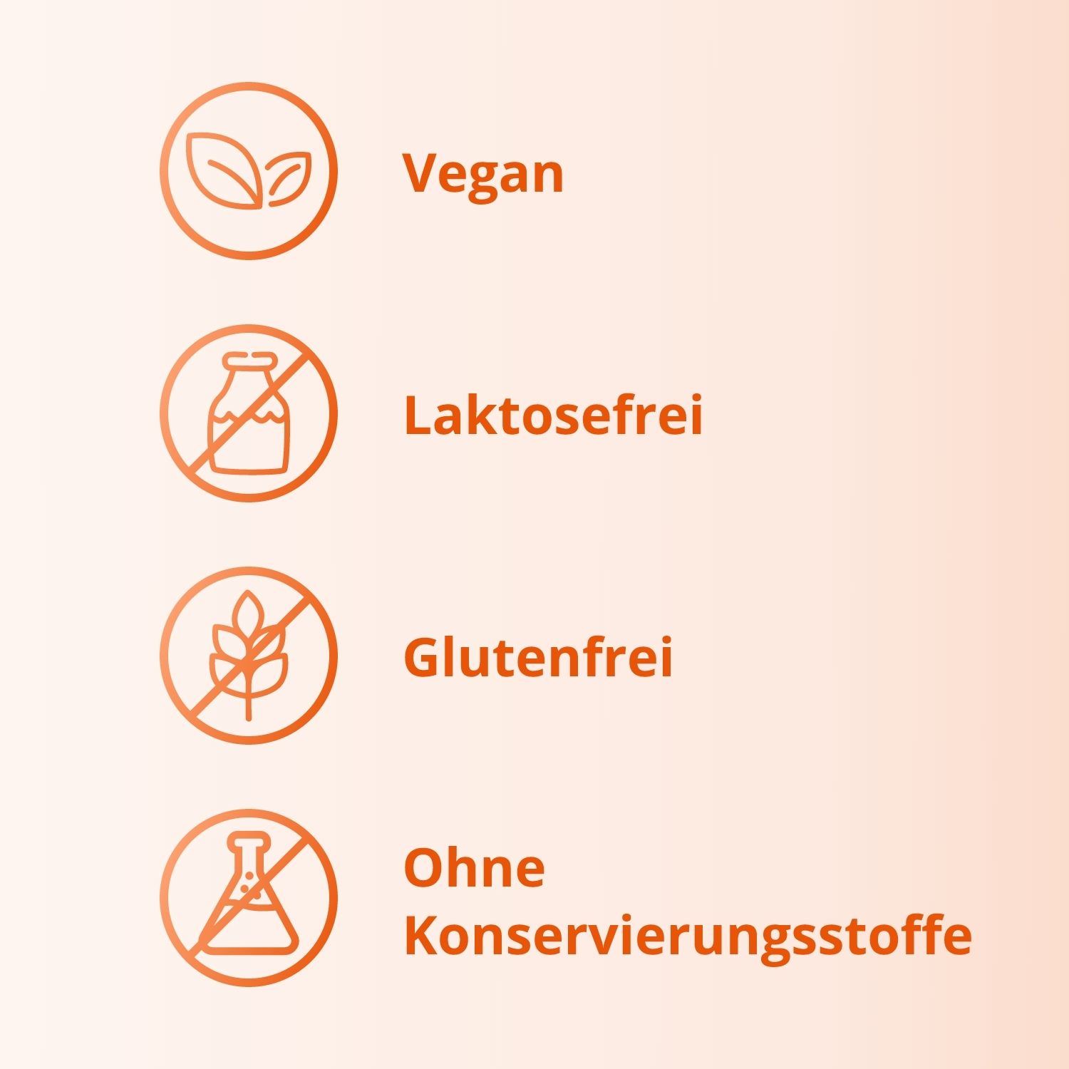 Grafiken: Vegan, laktosefrei, glutenfrei, ohne Konservierungsstoffe.