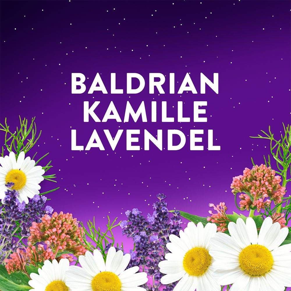Blumen und Kräuter auf lila Hintergrund. Text: Baldrian, Kamille, Lavendel.