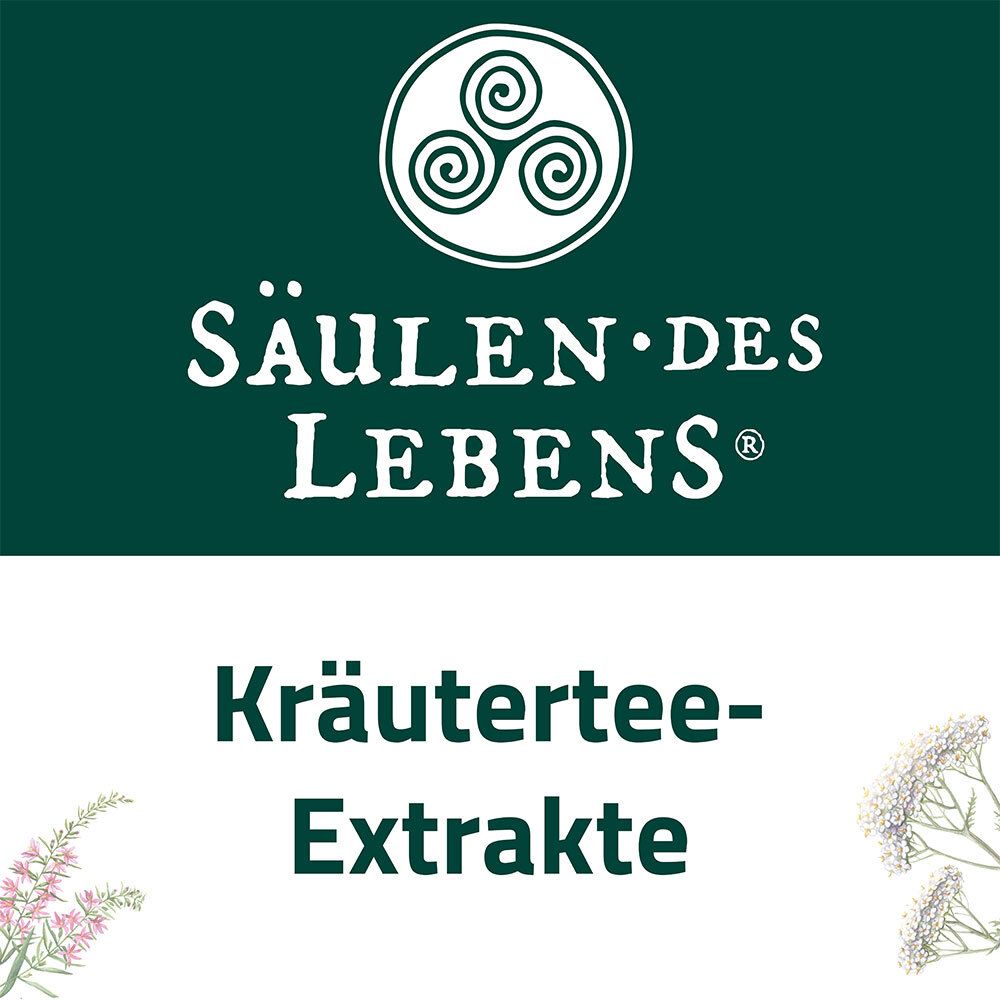Logo und Schriftzug „Säulen des Lebens“. Text: Kräutertee-Extrakte.