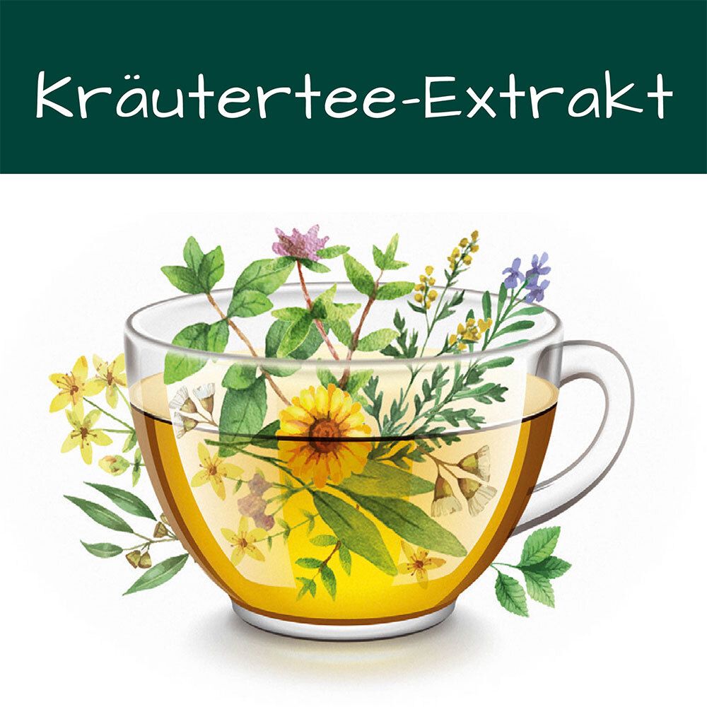 Tasse mit Kräutern und gelbem Tee. Text: Kräutertee-Extrakt.