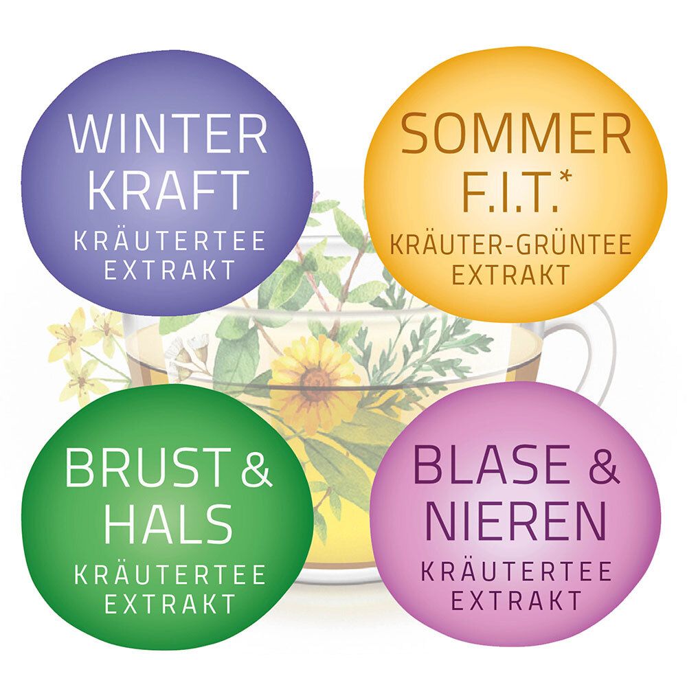 Kreisförmige Etiketten mit Text: Winterkraft, Sommer F.I.T., Brust & Hals, Blase & Nieren. Kräutertee-Extrakt.