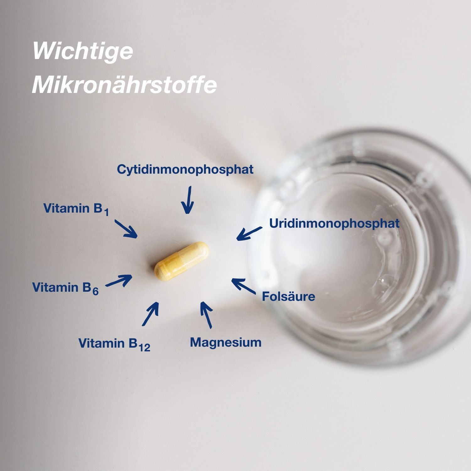 Kapsel neben Glas Wasser. Pfeile zeigen auf Inhaltsstoffe: Uridin, Cytidin, Vitamine, Magnesium.