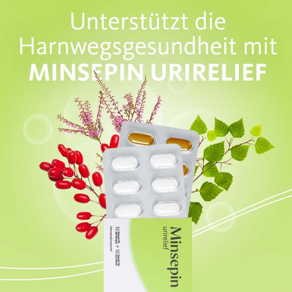 MINSEPIN URIRELIEF Kapseln 2 x 10 Stück