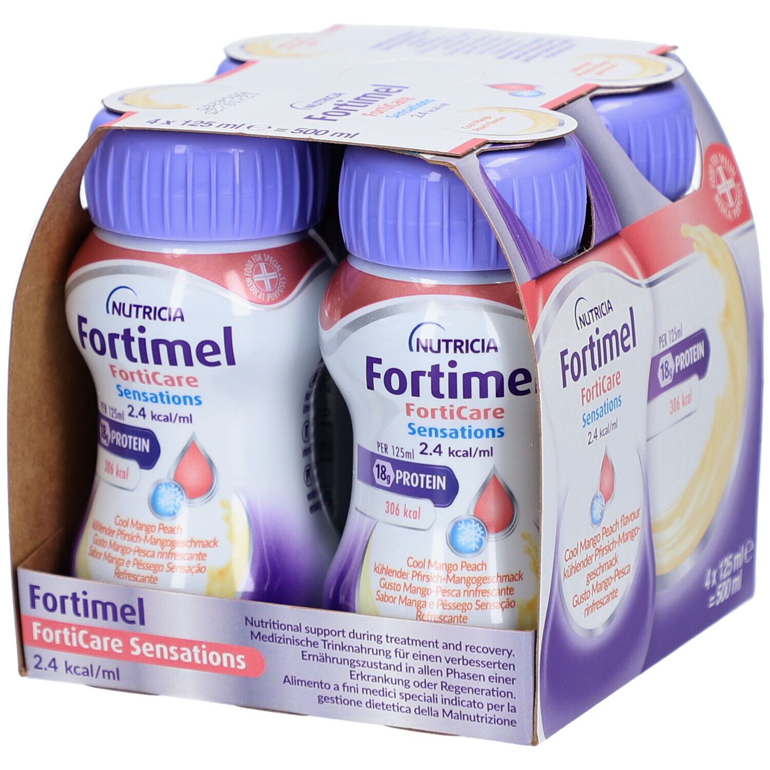 Packung mit vier Flaschen Trinknahrung. Lila Deckel, weißes Etikett mit Produktinformationen. 4 x 125 ml.