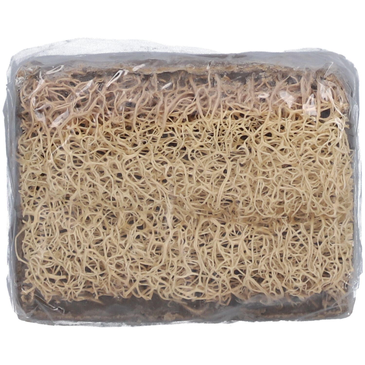 Saphre® Tonerde-Kürbisfaser-Seife