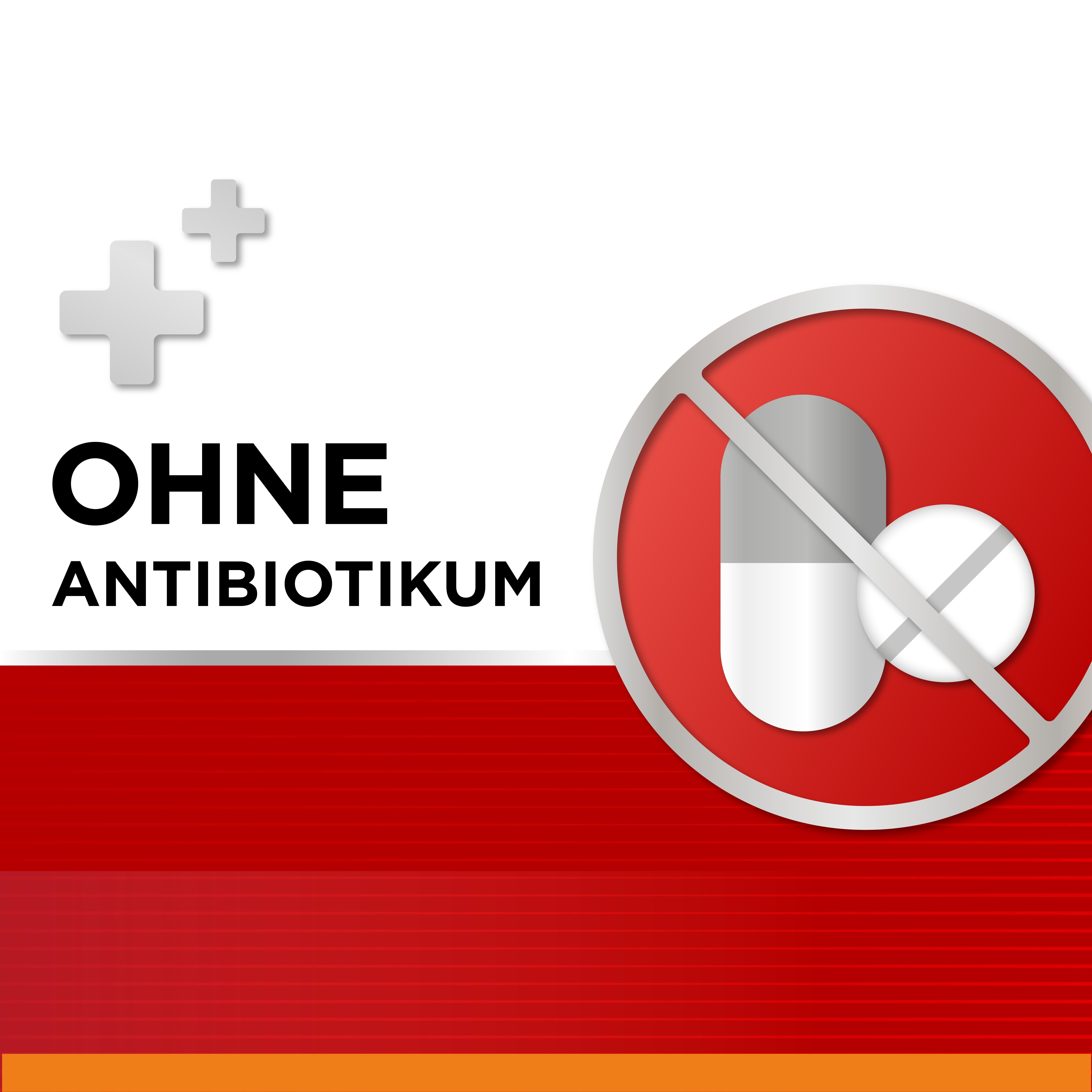 Symbol mit durchgestrichenen Tabletten. Text: Ohne Antibiotikum.