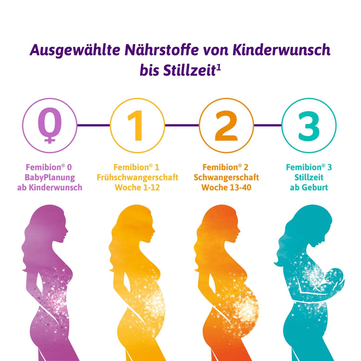 Grafik: Phasen von Kinderwunsch bis Stillzeit. Silhouetten von Frauen in verschiedenen Schwangerschaftsphasen.